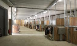Boxenstall